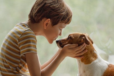 向かい合う少年と犬