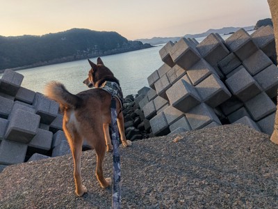 海辺