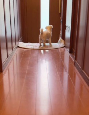 「そろそろ来る?」