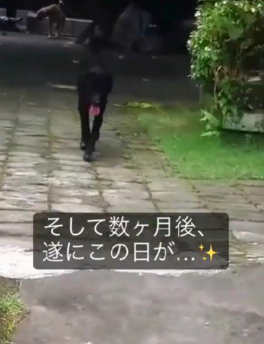 里親さんが決まった