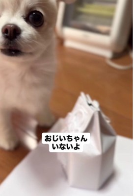 不思議そうな表情