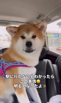ドライブ中のひなちゃんの変化6