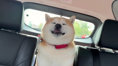 徐々に眠くなってきた