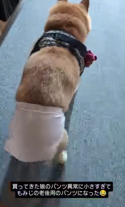 パンツが小さすぎる!