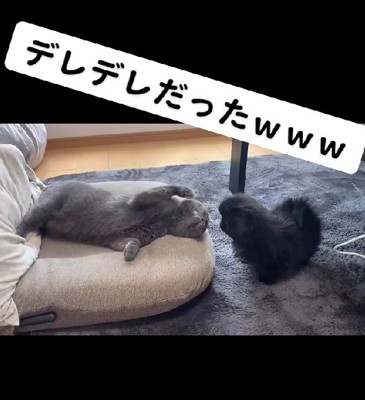 デレデレだった!!