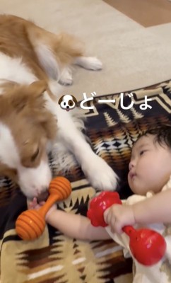 優しいお兄ちゃん