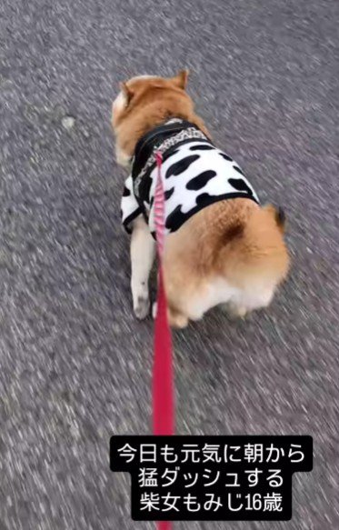 おむつはしばらく先だね♪