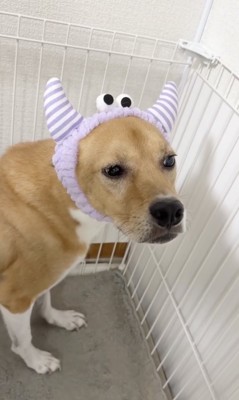 「…」