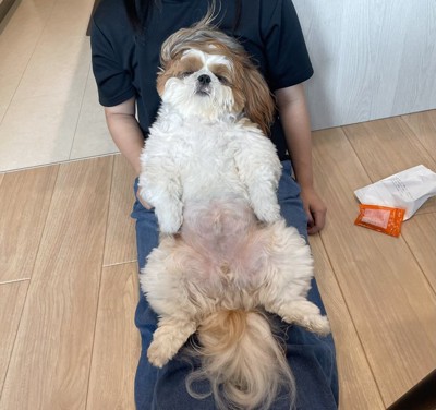 わがままボディ