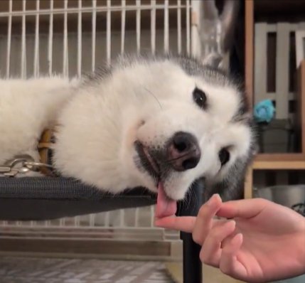 脱力