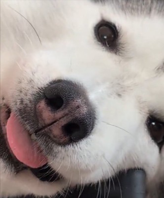 表情