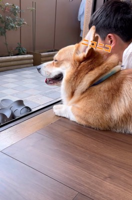 目を細める犬