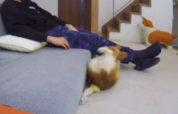 ドシン！