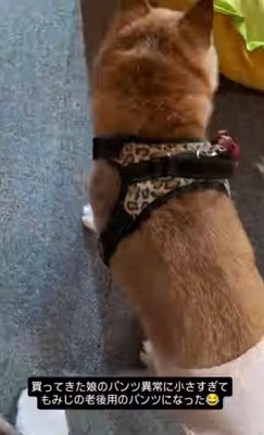 軽快にモデルウォーク♪