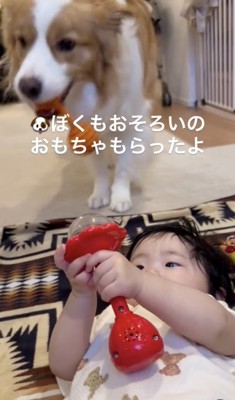 おもちゃの形がソックリ