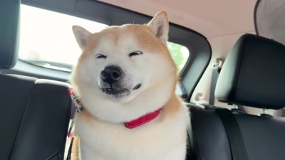 斜めになって体を脱力