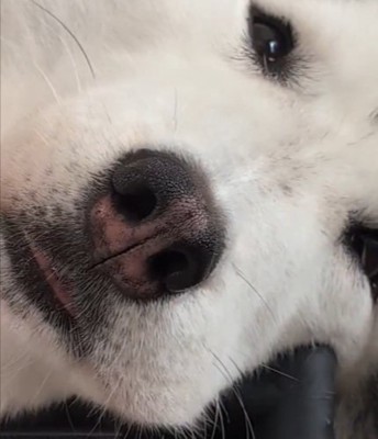 無事に