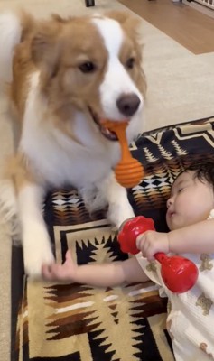 おもちゃを拾い上げて…