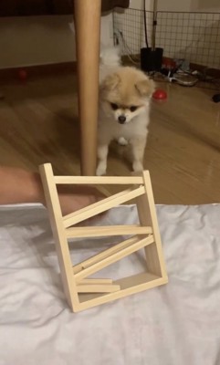 思わず後ずさり