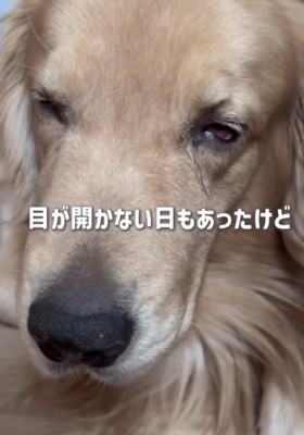 目が開けられない日もあった