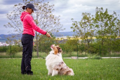 トレーニングする女性と犬
