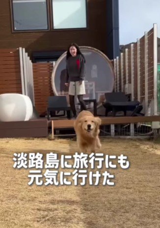 旅行に行けたことも