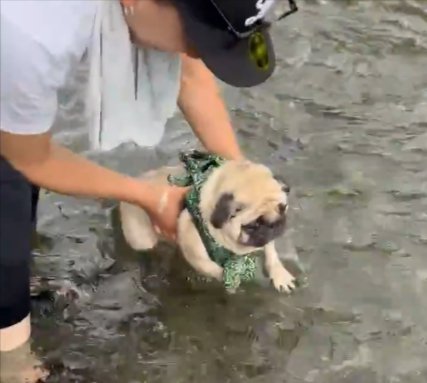 水が近くなると