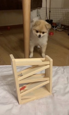 100％のシンクロ度