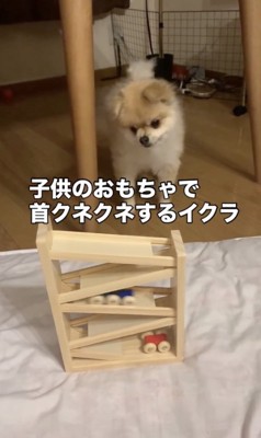 首もクネクネ