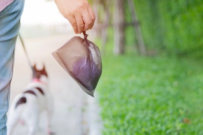 愛犬の汚物を回収して散歩する様子