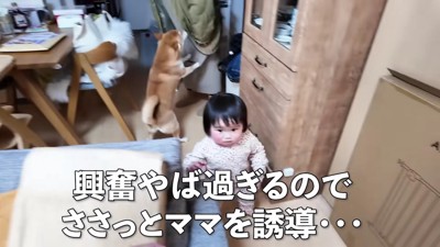 ハイテンションでお出迎え