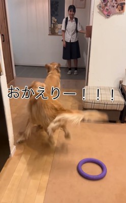 娘さんの帰宅