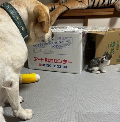 説教かな…？