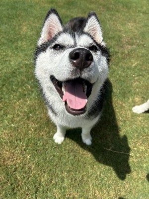 ニコニコ笑顔