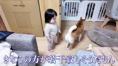 切ない背中のきなこちゃん