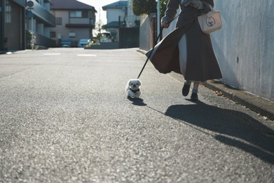 お迎え当時