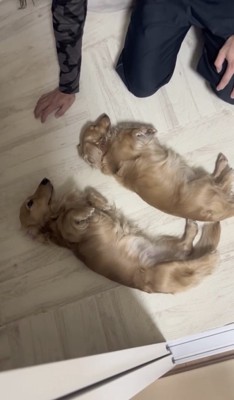 虚無…