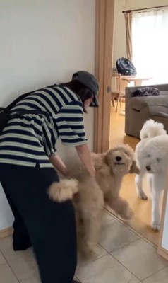 ますお君＆まるお君とママさんの再会⑩