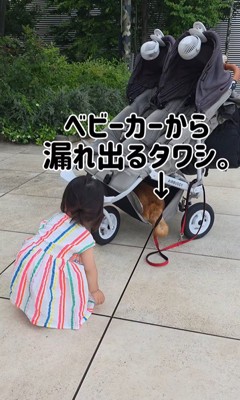 むぎちゃんと女の子2人のお散歩5