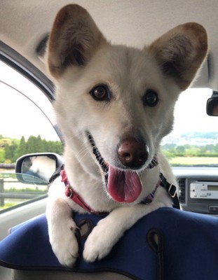 みんなに愛されたあいちゃんは…