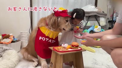 お局さんが見てる!