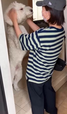 ますお君＆まるお君とママさんの再会4