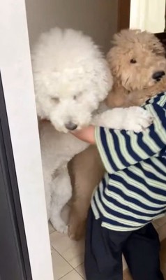 ますお君＆まるお君とママさんの再会6