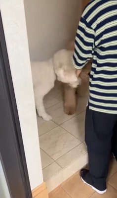 ますお君＆まるお君とママさんの再会5