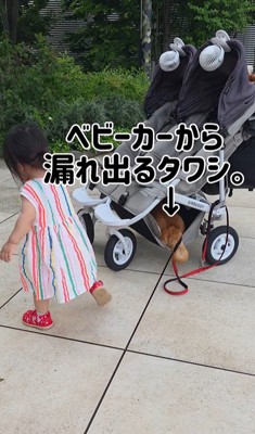 むぎちゃんと女の子2人のお散歩6