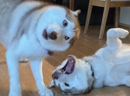 まさかの