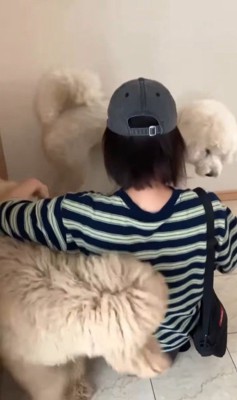 ますお君＆まるお君とママさんの再会9