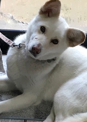 たくさんの愛に包まれて…