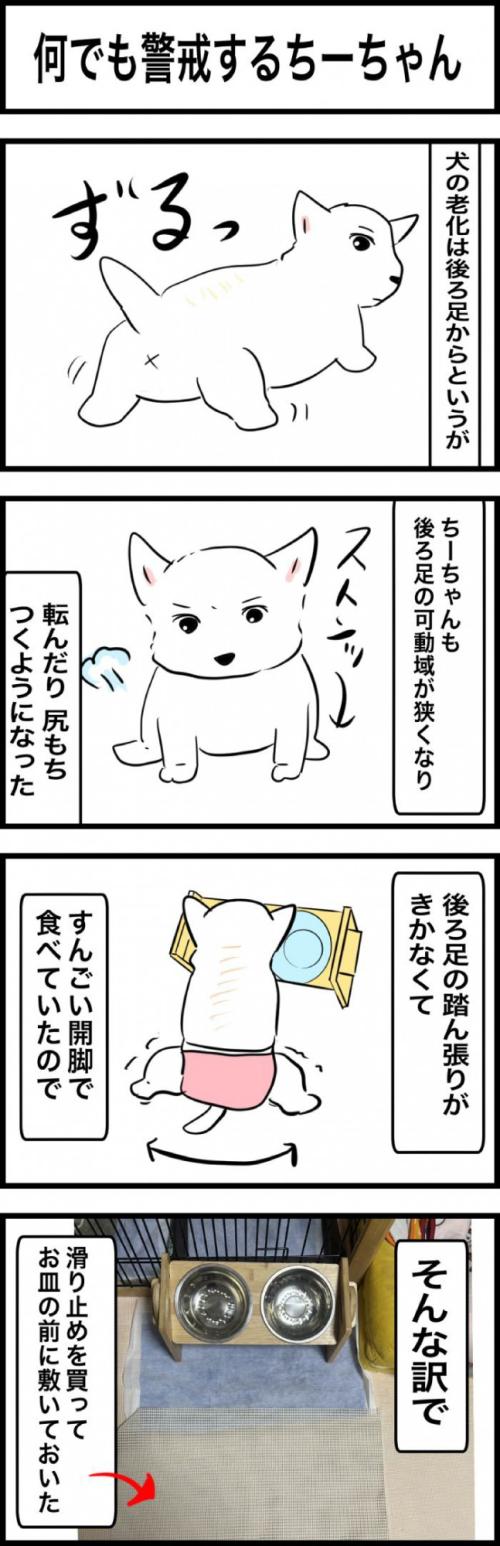 ちーちゃんですけどもっ【第327話】 1