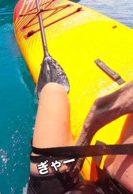 波乗りを楽しんでいたら…